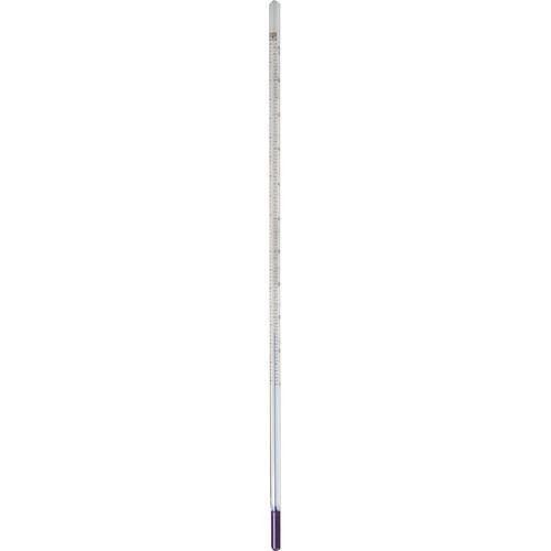 Paterson Thermometer Certified 9"