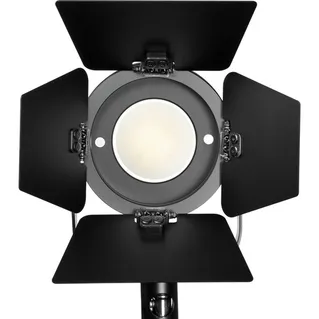 Fiilex 4-Way Barndoor Size II for P360 and P360EX LED Lights **