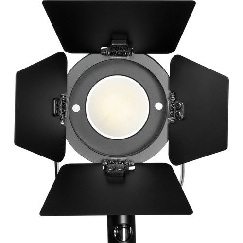 Fiilex 4-Way Barndoor Size II for P360 and P360EX LED Lights **