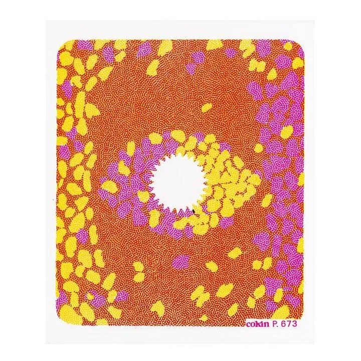 Cokin Center Spot Yellow / Pink M (P) Filter