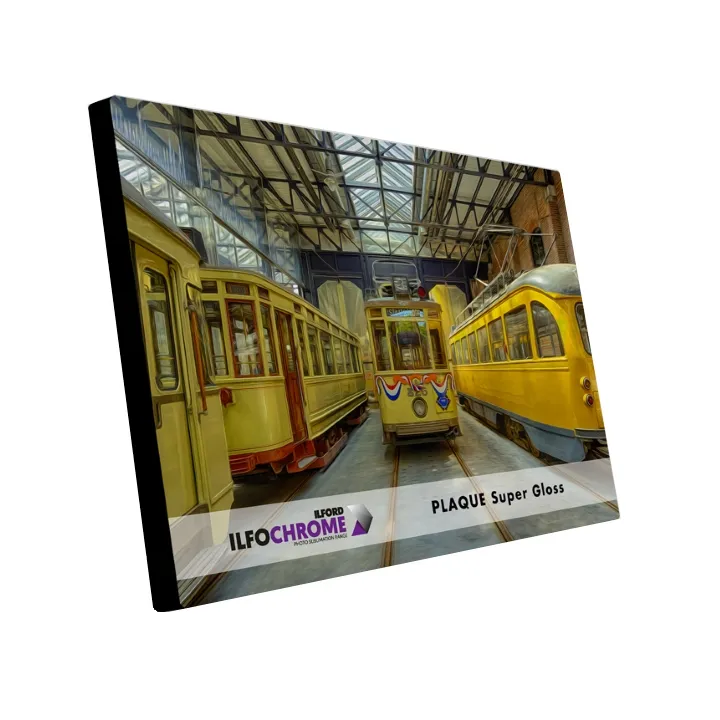 Ilford Ilfochrome Plaque Super Gloss 11.6x11.6" 5 Sheets PQSG.1K