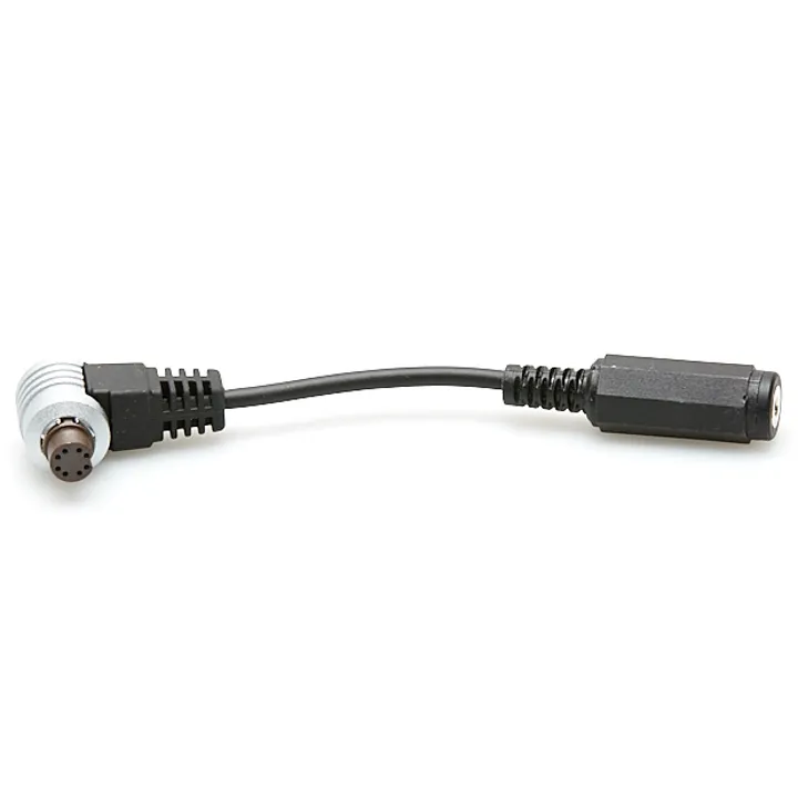 Multi Conn. to Mini Jack Adapter Cable (8 Pin)