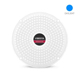 Vibesta Peragos Disk 304P Power Daylight LED Light