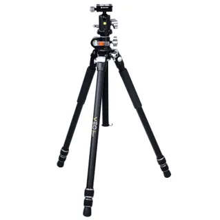Vanguard VEO 3+ 263AB Pro Tripod / Monopod with BH-160 Ball Head **