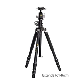 Vanguard VEO 3T+ 234AB Tripod / Monopod with BH-110S Ball Head **