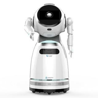 UBTECH Cruzr 1S Standard Robot