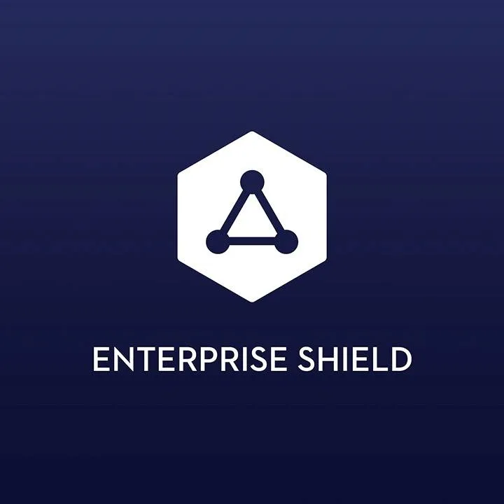 DJI Enterprise Shield for Mavic 2 ( ZOOM ) License Key