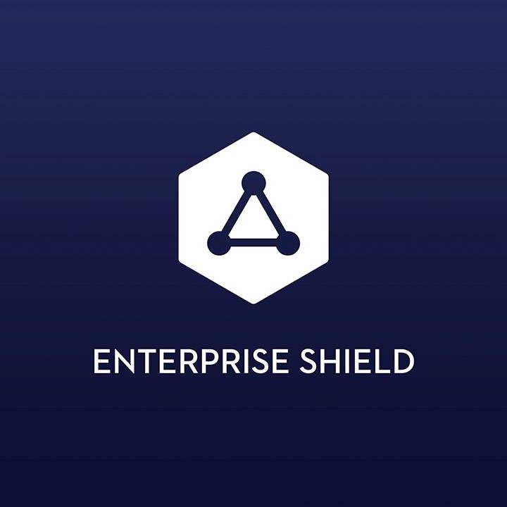 DJI Enterprise Shield Basic P4 Multispectral