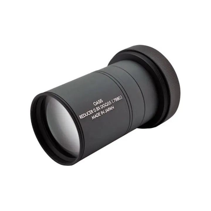 BORG 7880 0.8xDGQ55 Reducer