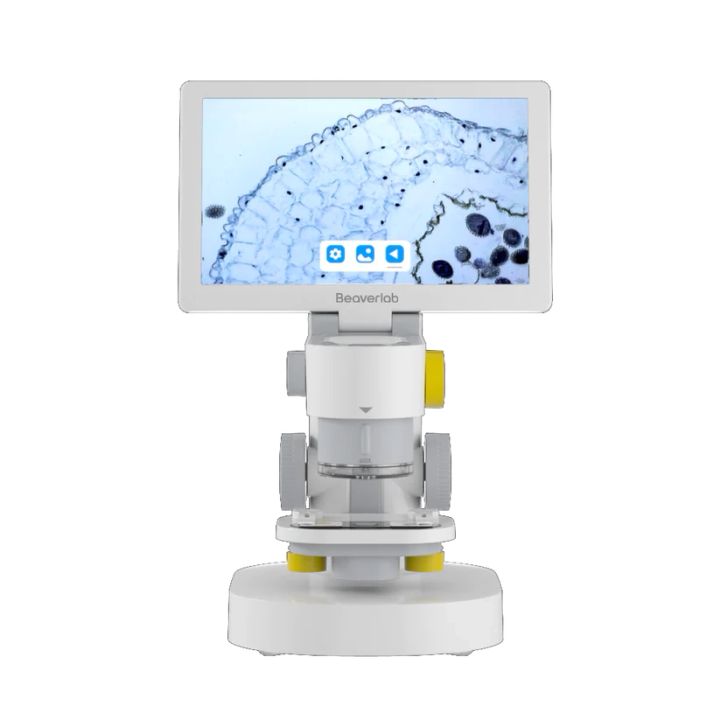 BeaverLab Darwin MX Digital Microscope with Viewing Screen (Platform and Accessory Kit) *