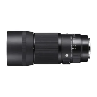 Sigma 105mm f/2.8 DG DN Macro Art Lens