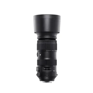 Sigma 60-600mm f/4.5-6.3 DG OS Sports Lens