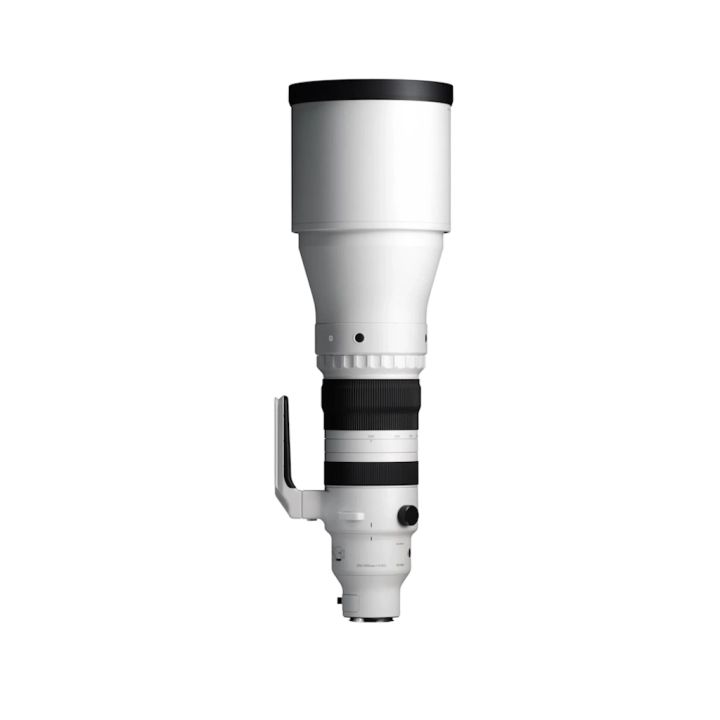 Sigma 300-600mm f/4 DG OS Sports Lens for L Mount