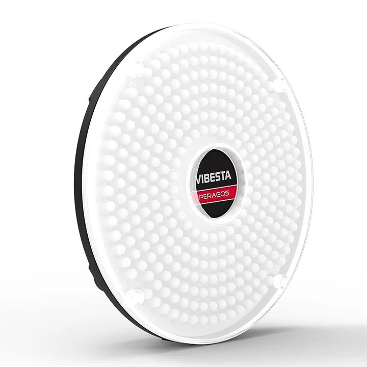 Vibesta Peragos Disk 304P Power Daylight LED Light