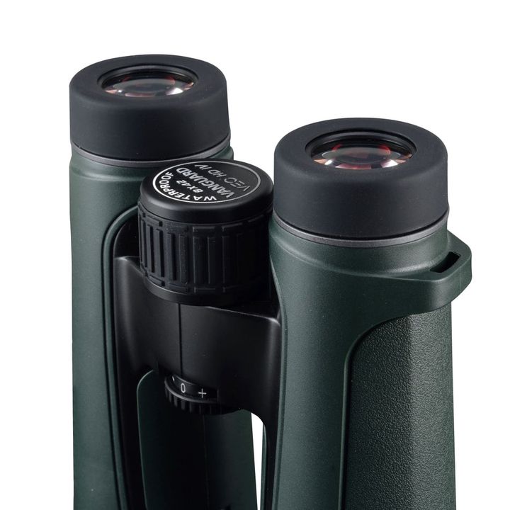 Vanguard VEO HD IV 10x42 Binoculars