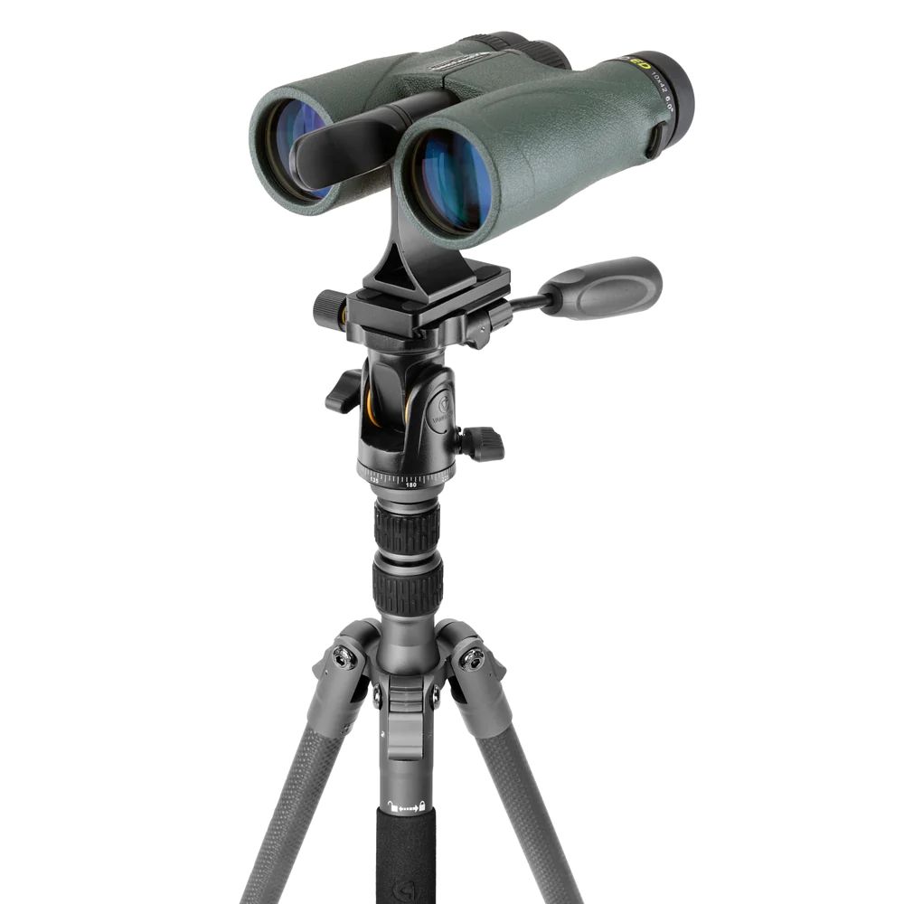 Vanguard VEO 3 GO 204CP Carbon Fiber Tripod with PH-25 Pan Head