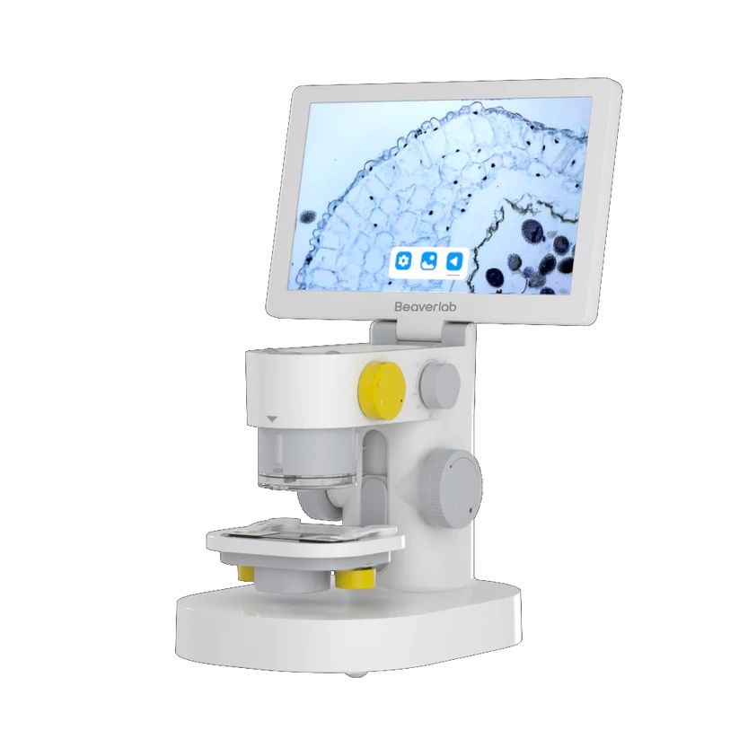 BeaverLab Darwin MX Digital Microscope with Viewing Screen (Platform and Accessory Kit)