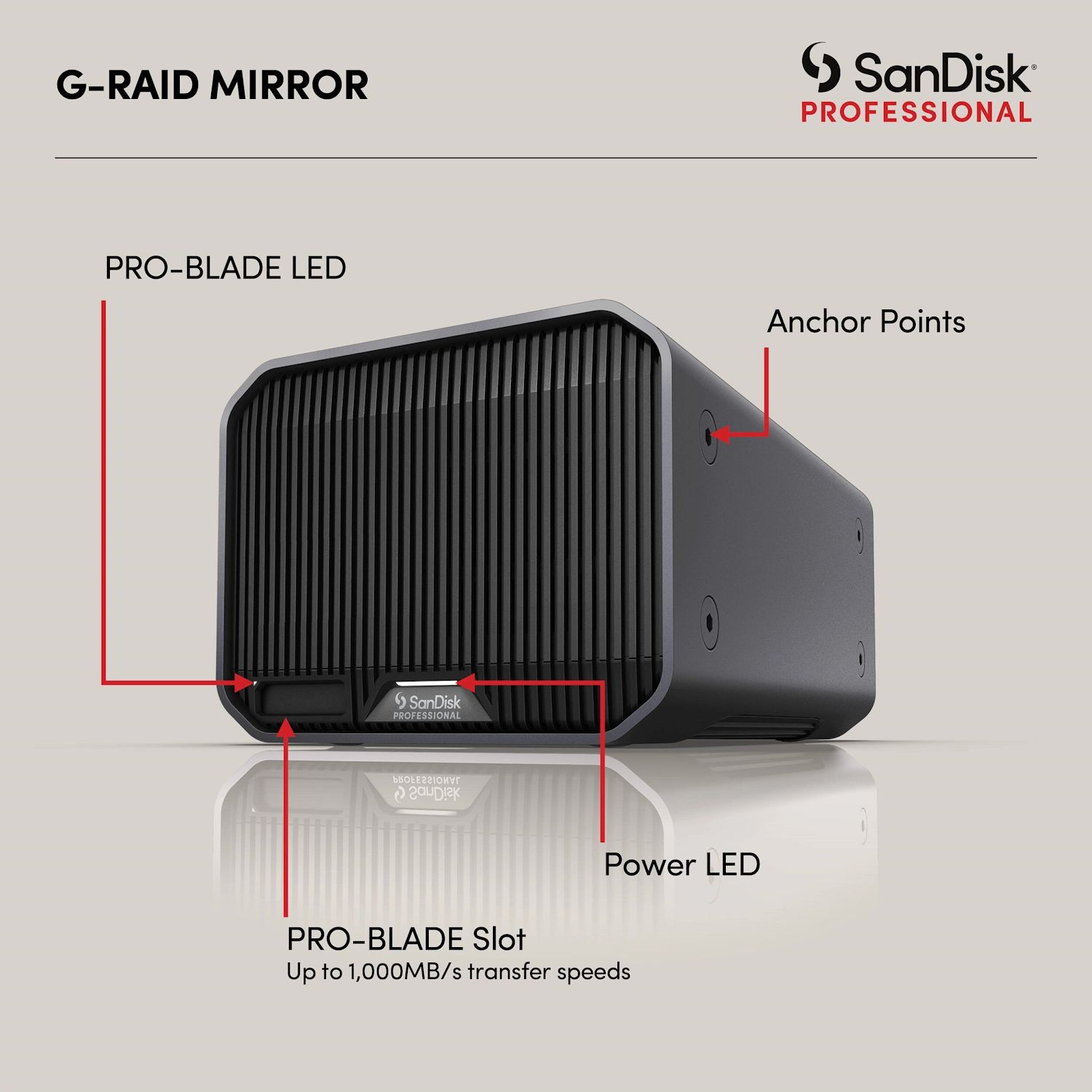 SanDisk Professional 44TB G-RAID Mirror 2-Bay Thunderbold 3 Array