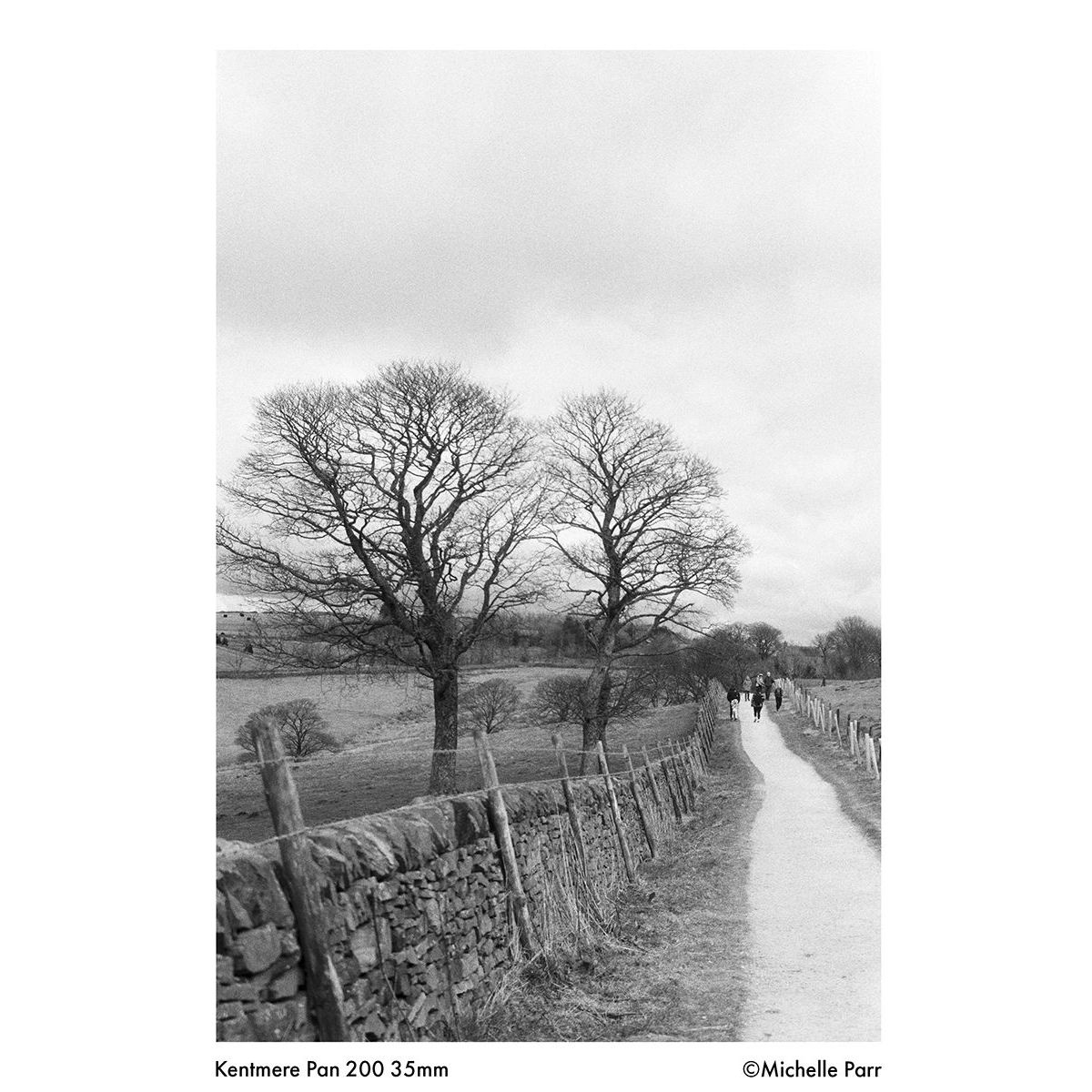 Kentmere PAN ISO 200 35mm 24 Exposure Black & White Film