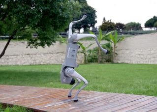 Unitree Go2 Air Package Robot Quadruped Combo - Incl. Controller (No program)