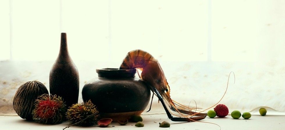 &copy; Muga Miyahara