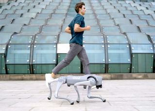 Unitree Go2 Robotic Quadruped