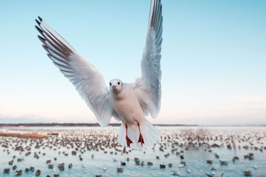 Tokina atx-m 11-18mm f/2.8 Lens for Fujifilm X