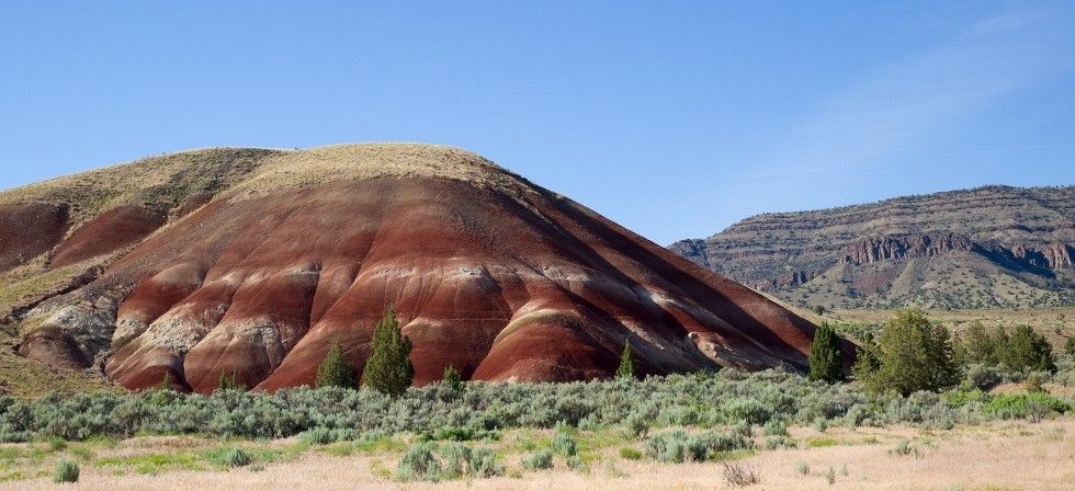 &copy; Michael Pollmann