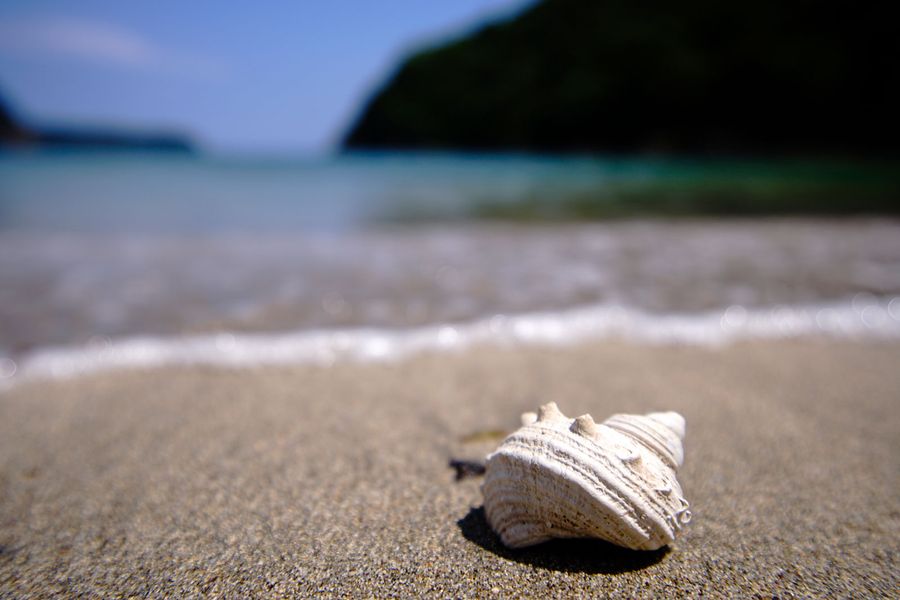 Tokina atx-m 11-18mm f/2.8 for Sony E-Mount Colour