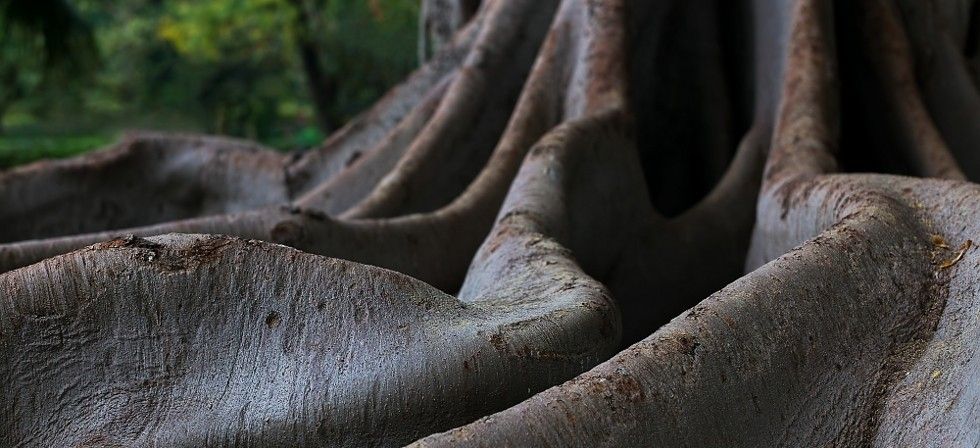 &copy; Markus Gerhards