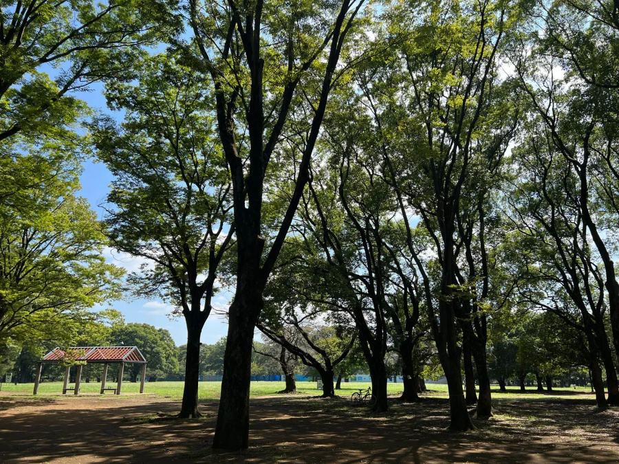 Kenko EXAPRO Clip Lens Fisheye EXP-CLFE for Smartphone