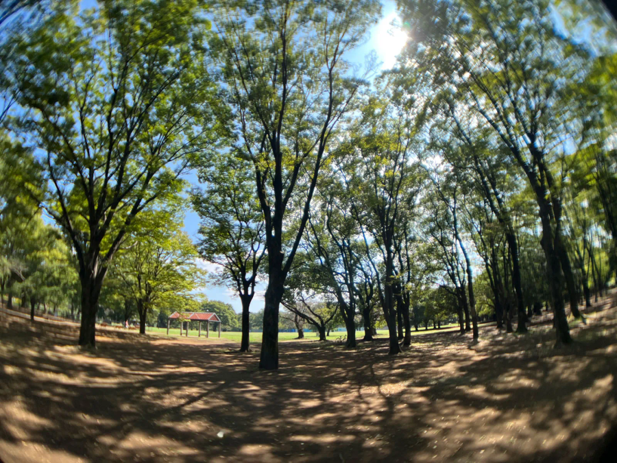 Kenko EXAPRO Clip Lens Super Wide EXP-CLSW for Smartphone