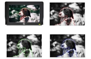 Zhiyun Crane 2 Monitor