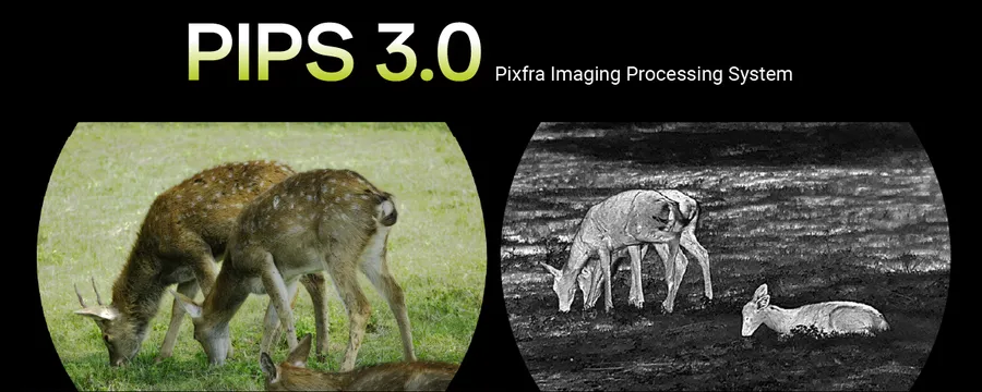 Pixfra Draco Binoculars NV 4K 940nm Thermal 35mm Pix 384x288 Dis 1920x1080