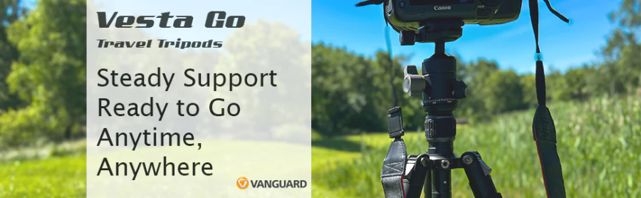 Vanguard VESTA GO 234CB