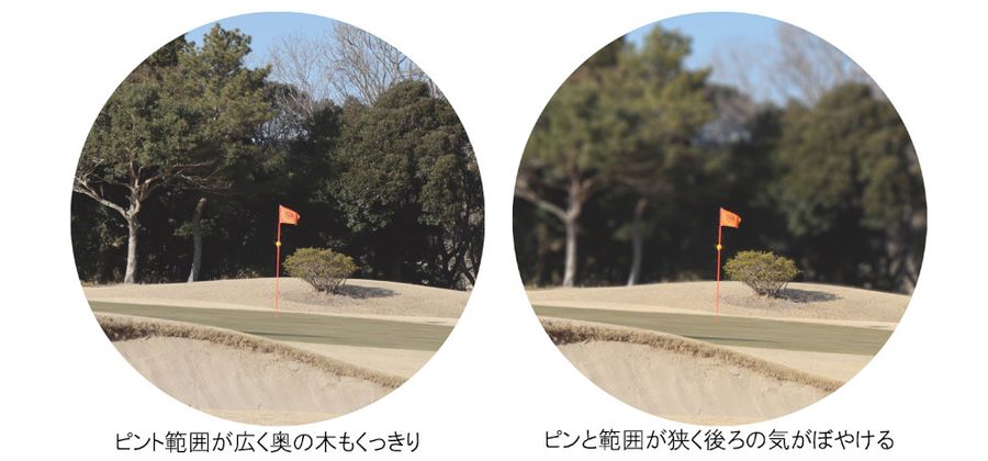 Vixen VRF1000VZ 6x21 Laser Rangefinder