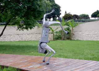 Unitree Go2 Robotic Quadruped