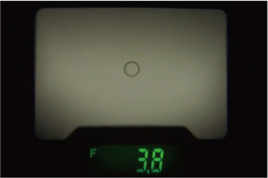 Kenko KFM-2200 Flash Meter